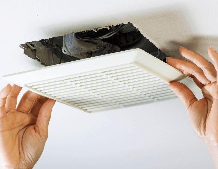 canberra vent mould removal