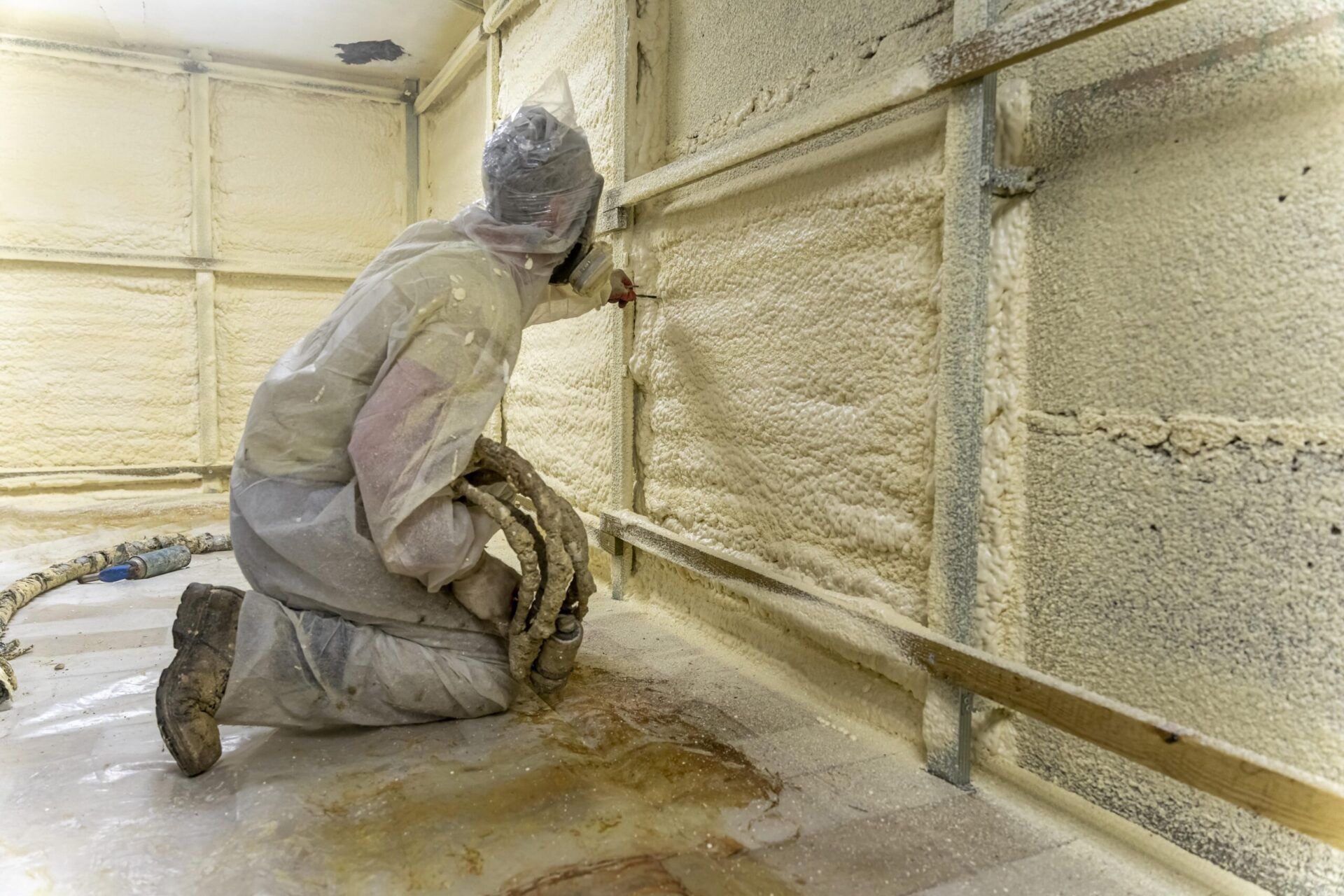 Mould inspection canberra 